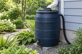 A large rain barrel connected to a downspout in a leafy garden, screened inlet and overflow hose visible