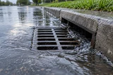 A street stormwater inlet catching rainwater beside a curb, with wet pavement and softly reflected sky